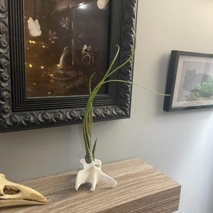 Samantha added a photo of their purchase