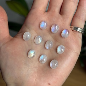 Kate added a photo of their purchase