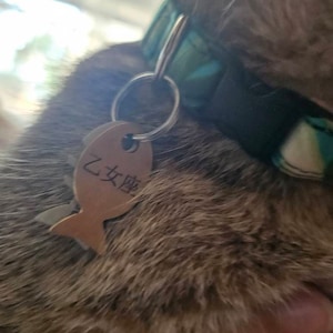 Carolina added a photo of their purchase