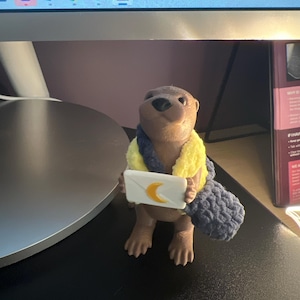 Ruth added a photo of their purchase