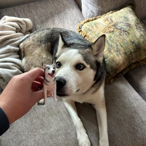 Emily added a photo of their purchase