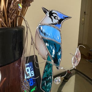 Amelia added a photo of their purchase