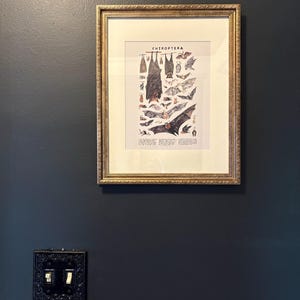 Brooksie added a photo of their purchase
