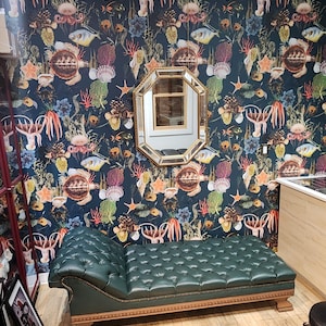 Hannah さんが購入した商品の写真を追加しました