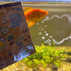 cami a ajouté une photo de son achat