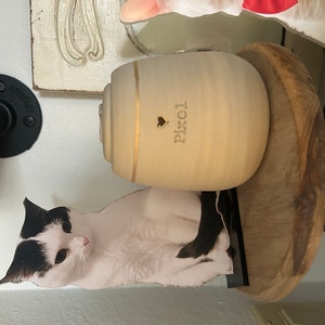 Sara added a photo of their purchase