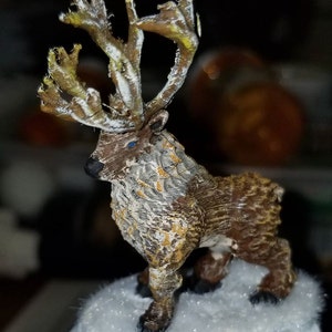 Robert added a photo of their purchase
