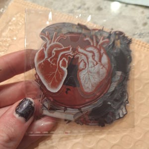 Bethany added a photo of their purchase