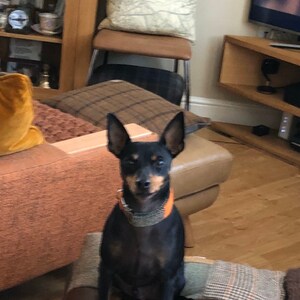 Acquirente Etsy ha aggiunto una foto del proprio acquisto