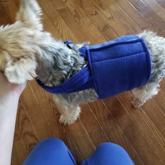 Happy jack belly shop wrap