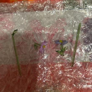 Bettina added a photo of their purchase
