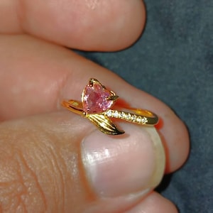 Derrick added a photo of their purchase