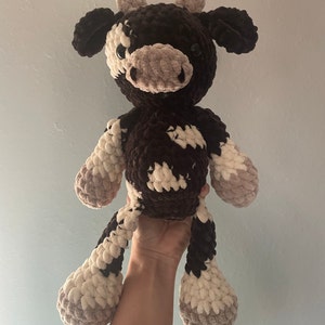 Holly added a photo of their purchase