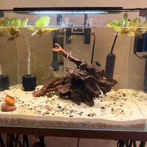 Brittany added a photo of their purchase