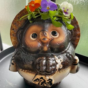 Onegai Tanuki Japanese Raccoon Dog Shigaraki yaki Happy from Japan