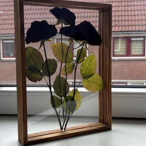 Vendela added a photo of their purchase