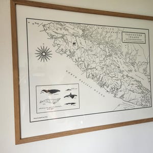 Molly added a photo of their purchase