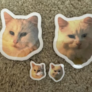 Amber added a photo of their purchase