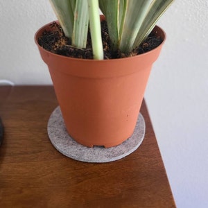 Nicole added a photo of their purchase