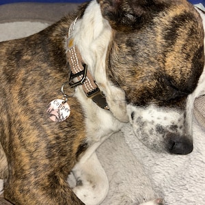 Blake ha añadido una foto de su compra