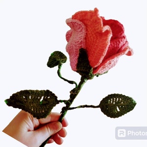 Jolanta added a photo of their purchase