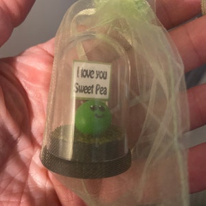 Jo added a photo of their purchase