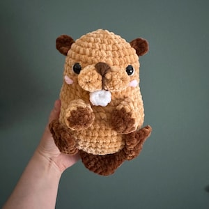 Amy added a photo of their purchase