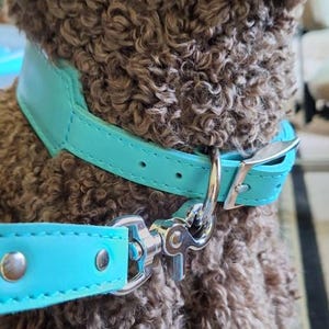 Ashley added a photo of their purchase