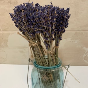 Mini Natural Dried LAVENDER French Provence Bunch Fragrant Tied Stems UK Scent A 