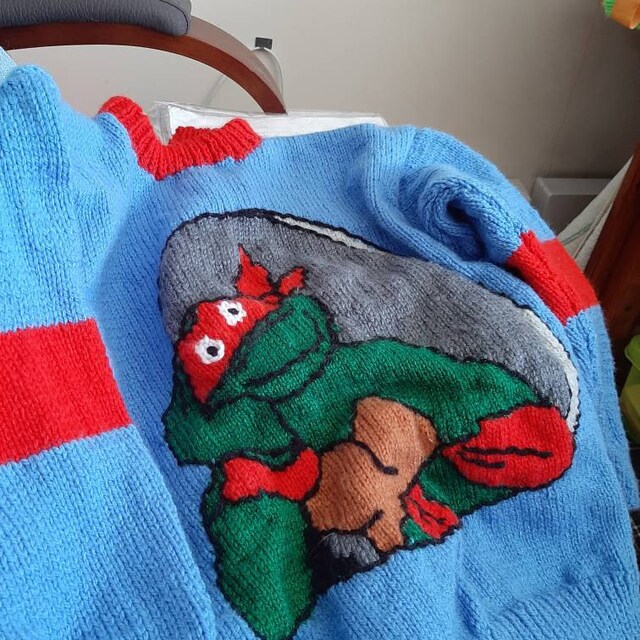 Vintage Pattern Teenage Mutant Ninja Turtles Jumpers Adults