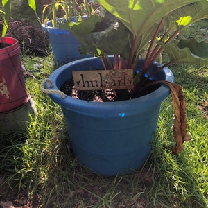 Cathy added a photo of their purchase