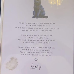 cas a ajouté une photo de son achat
