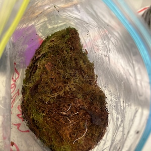 Ricardo ha añadido una foto de su compra