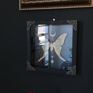 Jett added a photo of their purchase