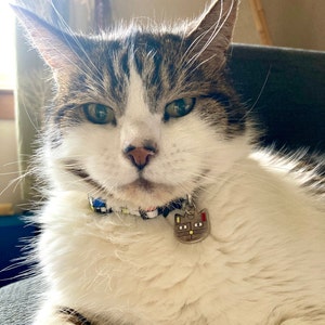 Linda ha añadido una foto de su compra