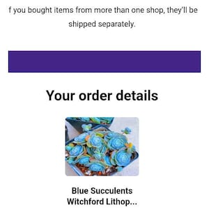 Blue Succulents Witchford Lithops Seeds, 100pcs/pack