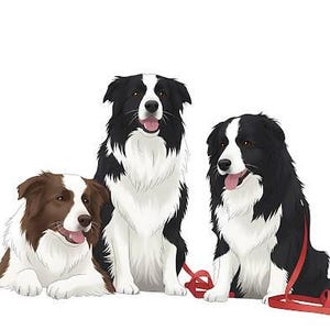 Emily added a photo of their purchase