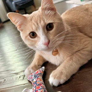Caroline added a photo of their purchase