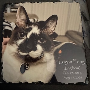 Leslie added a photo of their purchase