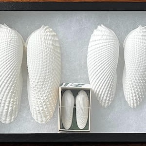 Kelly added a photo of their purchase