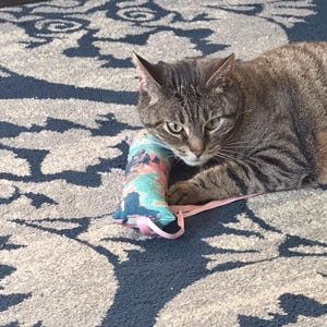 Patricia added a photo of their purchase