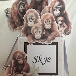 Skye added a photo of their purchase