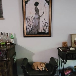 Paul adicionaram uma foto da sua compra