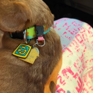 DB added a photo of their purchase