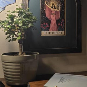 Mary added a photo of their purchase