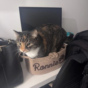 Helen added a photo of their purchase