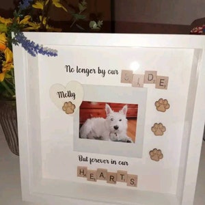 Cherry added a photo of their purchase