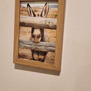 Lacey heeft een foto van de aankoop toegevoegd