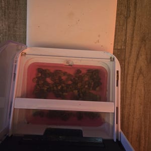 Sandra added a photo of their purchase