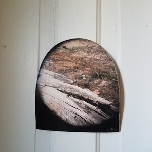 Kara added a photo of their purchase